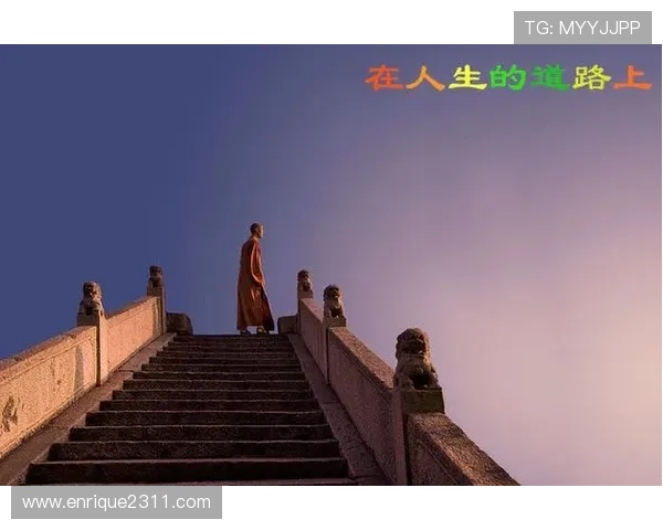 Z6人生就是博:在游戏中找到人生的方向与目标实现自我超越