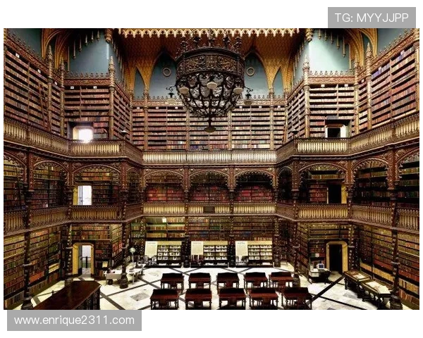 尊龙z6.com网址官方地址安全指南,教你识别正规平台保障个人信息安全