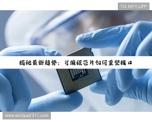 尊龙凯时ag官方入口不断优化游戏界面和玩法，带来更加流畅和丰富的游戏体验